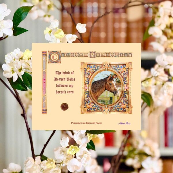 10x8 inch Iluminated Photo Horse or Pony Tribute Memento Display - Image 3