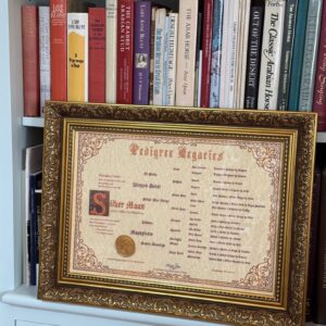 A3 Ornamental Illuminated Arabian Horse Pedigree, Bloodline Percentages & Pedigree