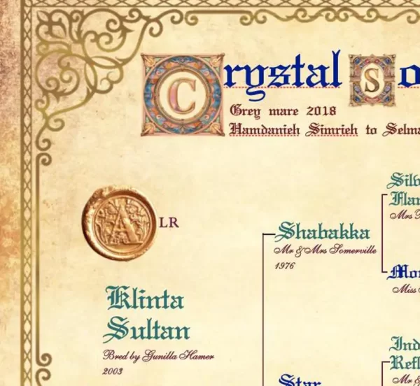 Classic Ornamental Photo Pedigree - Image 5